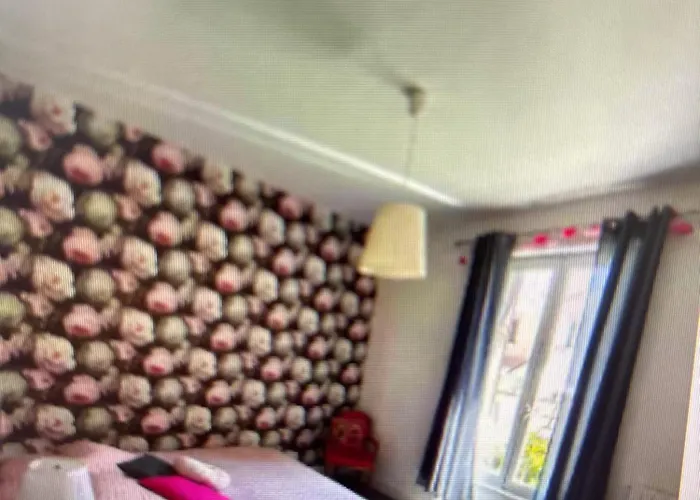 Apartment F3 Centre Proche Tram Jardin Lecoq Clermont-Ferrand